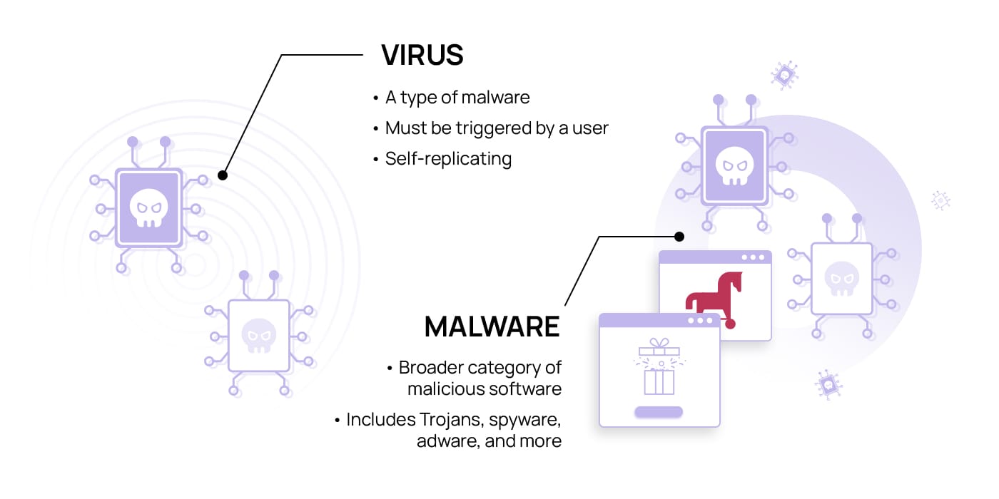 An infographic summarizing the main differences between viruses and malware